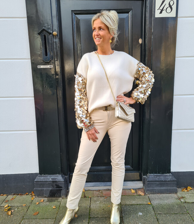 Clutch/Tas Luxe Goud