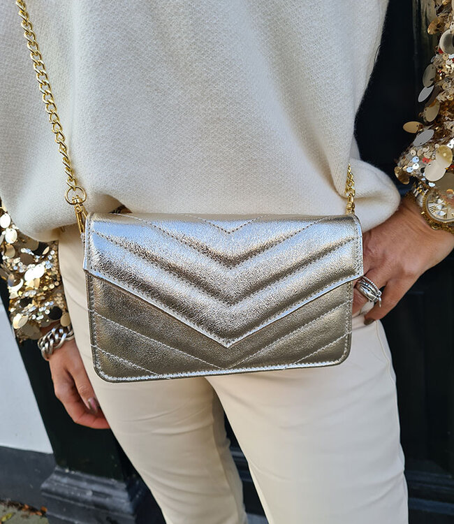 Clutch/Tas Luxe Goud