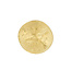 Ring Gold Statement Rond