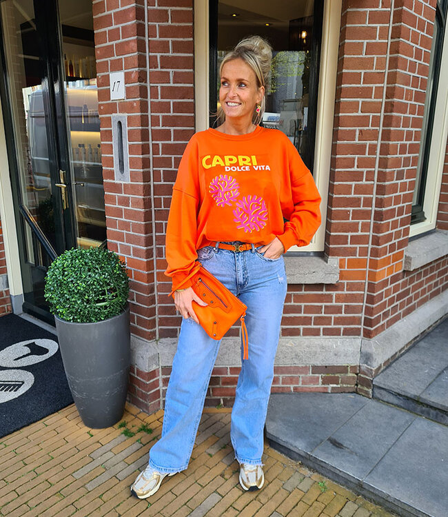 Clutch Studs/Franje Tas Oranje