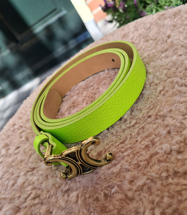 Look-a-Like Riem Celine Limegroen Small