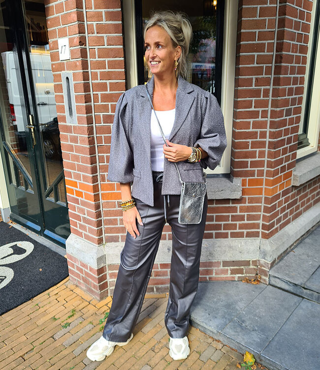 Klein Telefoon/Tasje Zilver