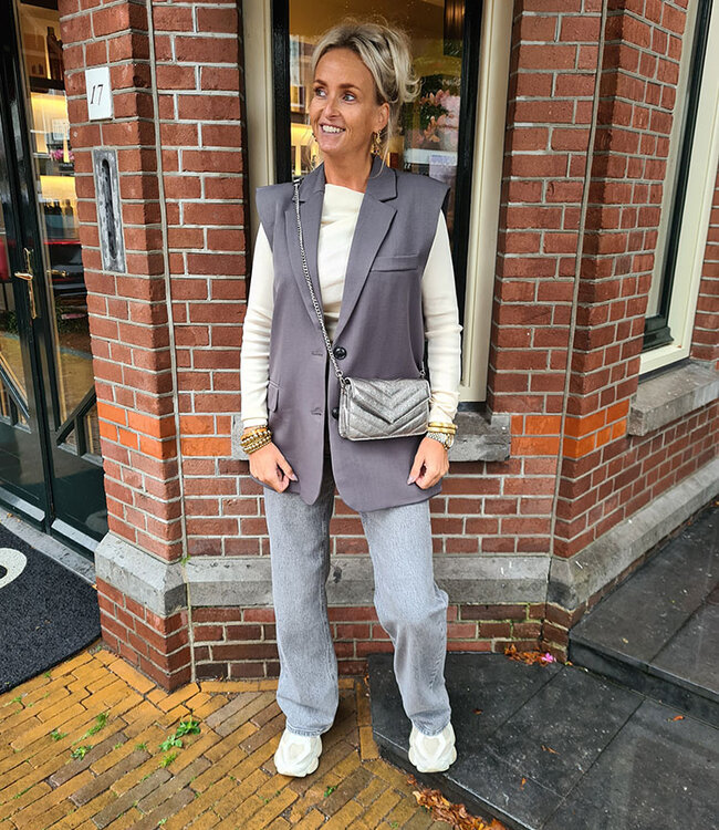 Clutch/Tas Luxe Zilver