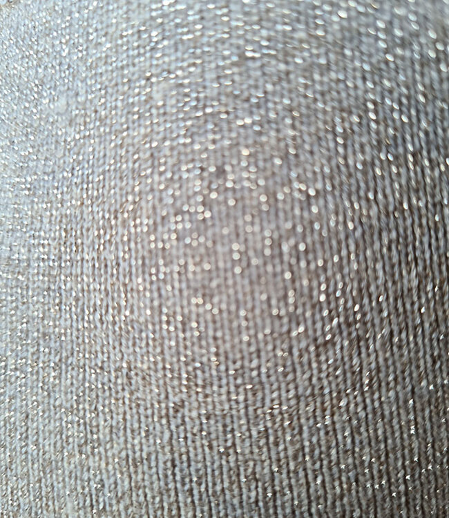 Azzurro Knit Top Shimmer Beige