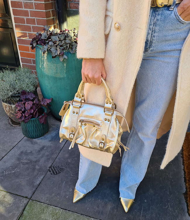 Kleine Handtas met Details Goud