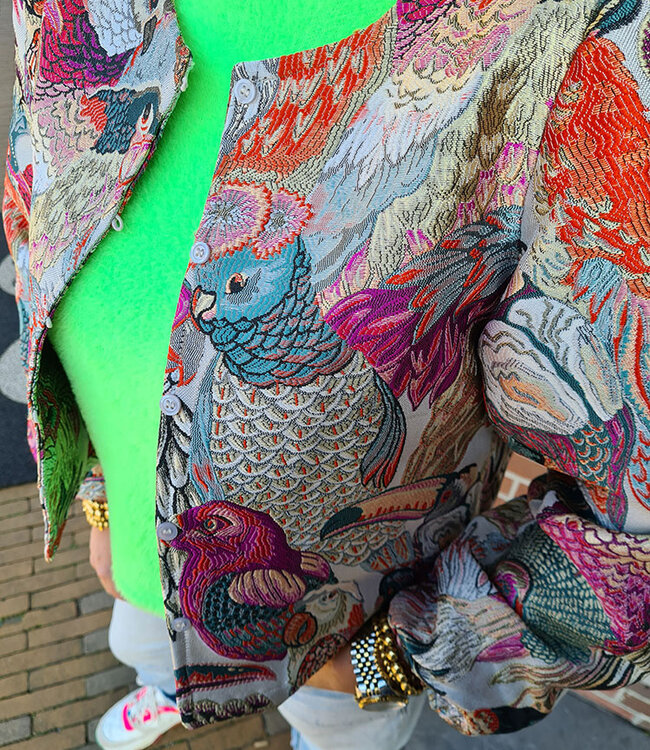 Ambika Jasje Multicolor