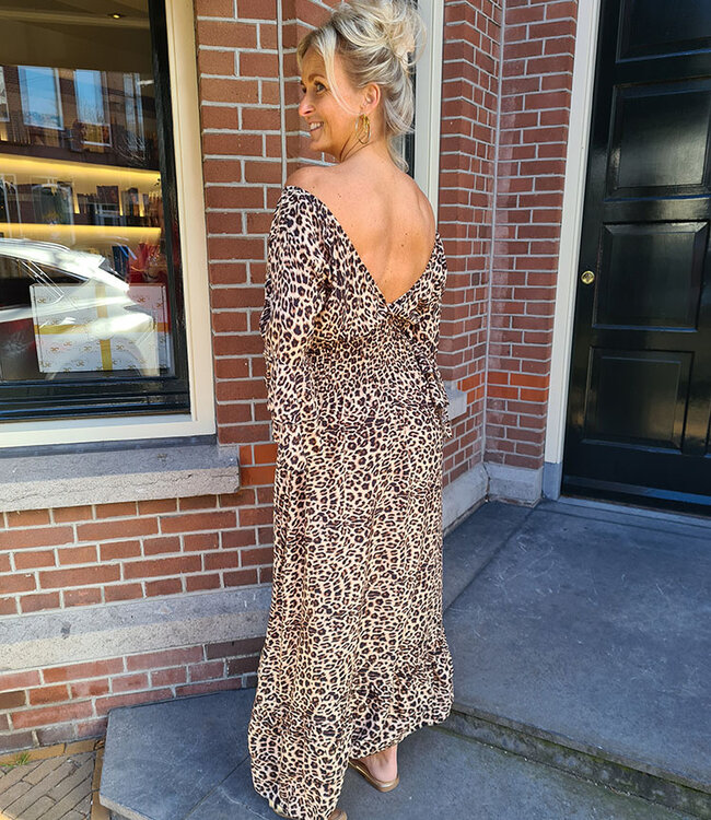 Lange Leo Dress Vhals