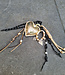 Bag Charm Hearts
