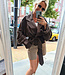 Ambika Short Trenchcoat Details Donkerbruin