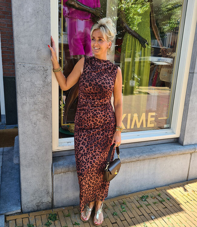 Mesh Gesmokte Jurk Leo