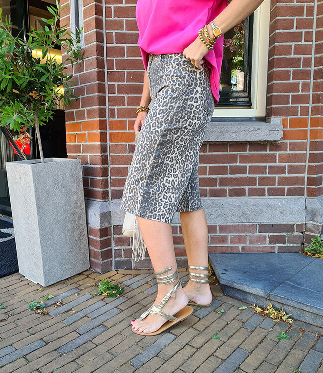 Long Stretch Short Leo