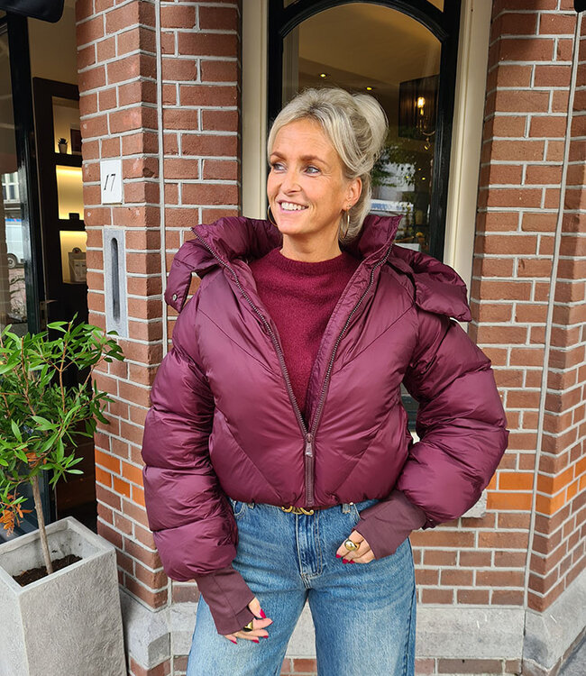 Gewatteerd Jack Short Bordeaux