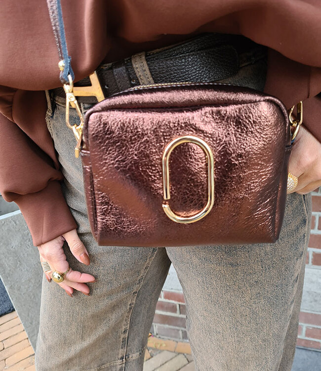 Look-a-Like MJ Tas Shimmer Bruin