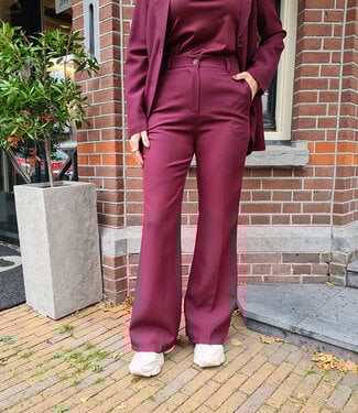 Pantalon Biba Bordeaux