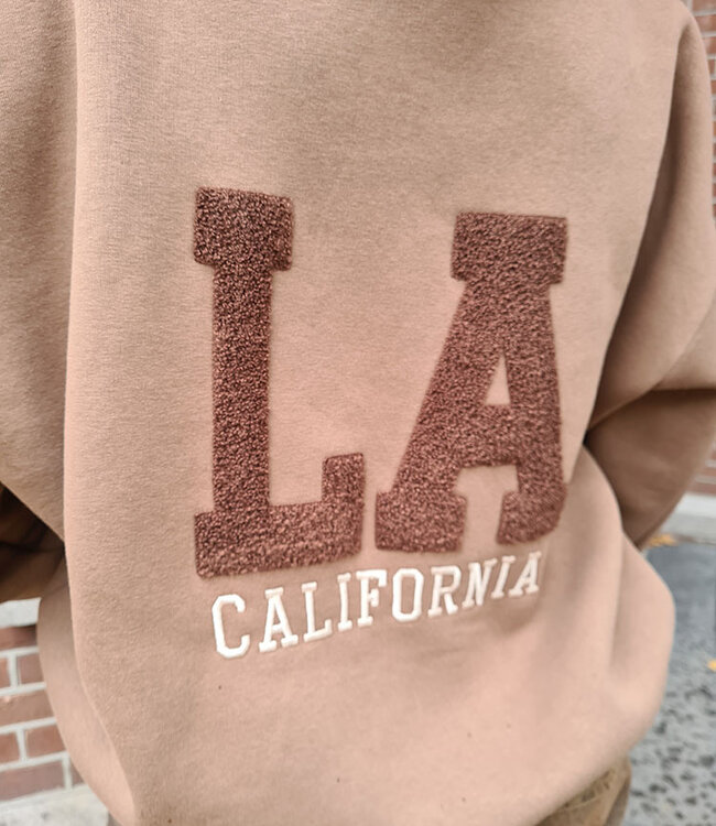 Hoodie met Fleece LA Taupe