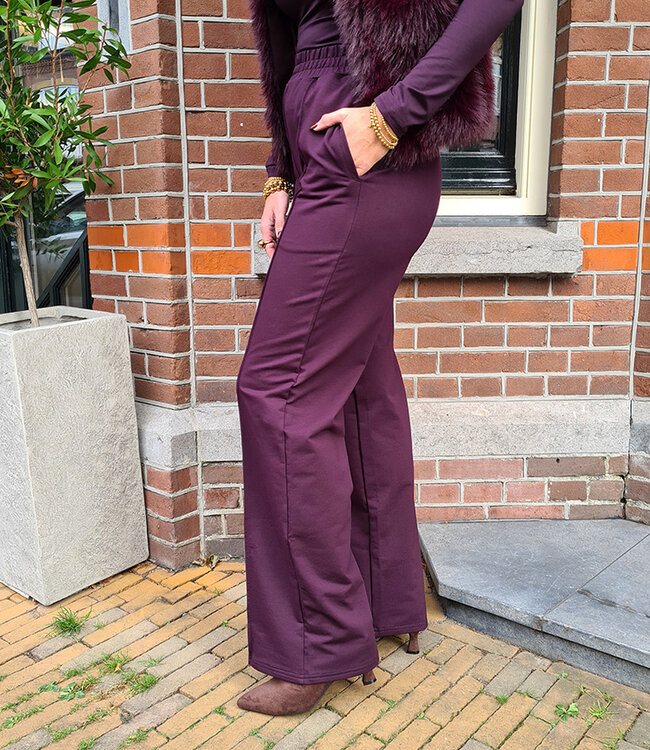 Jogger Pantalon met Naad Donker Paars