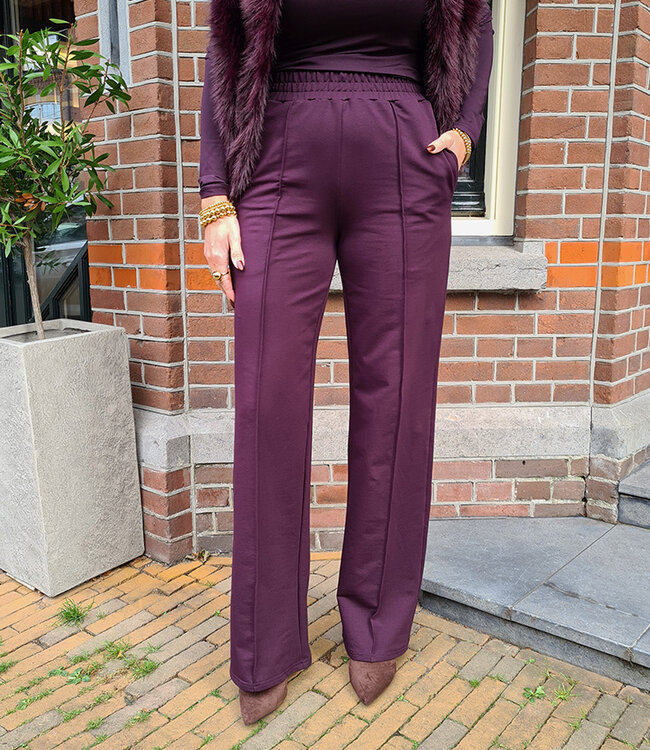 Jogger Pantalon met Naad Donker Paars