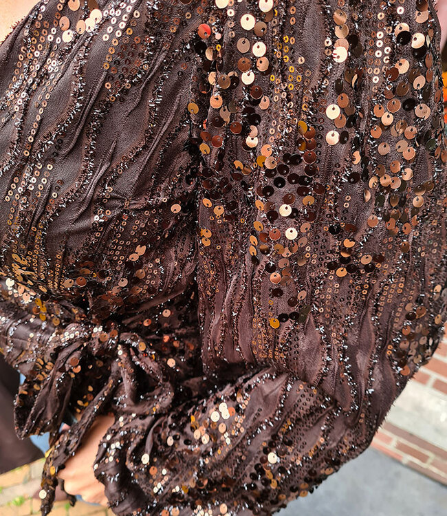 Overslag/wikkel Pailletten Blouse Donkerbruin