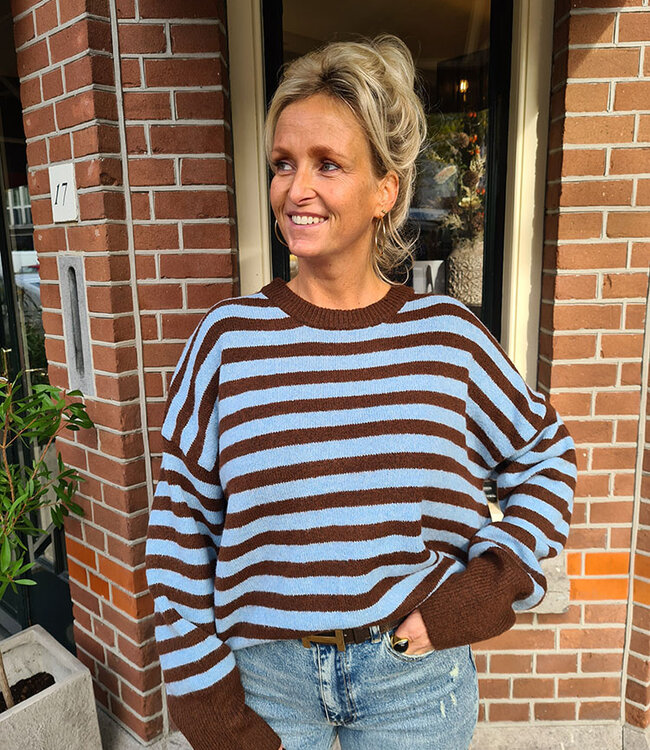 Knit Streep Trui Babyblauw/Bruin