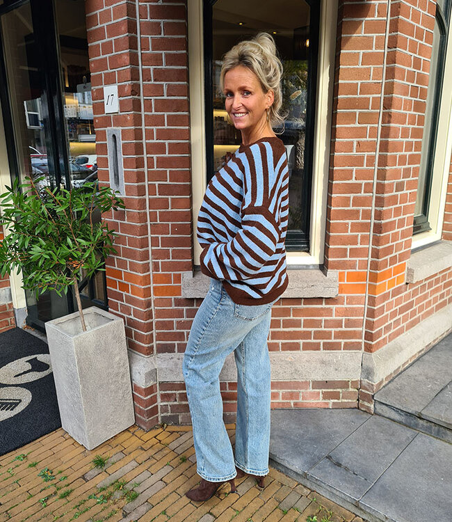 Knit Streep Trui Babyblauw/Bruin
