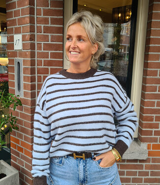 Knit Trui Strepen Zachtblauw/Donkerbruin