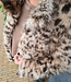 Faux Fur Leo Jasje