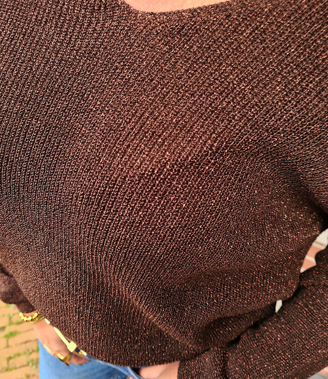 Lurex Vhals Trui Shimmer Donkerbruin