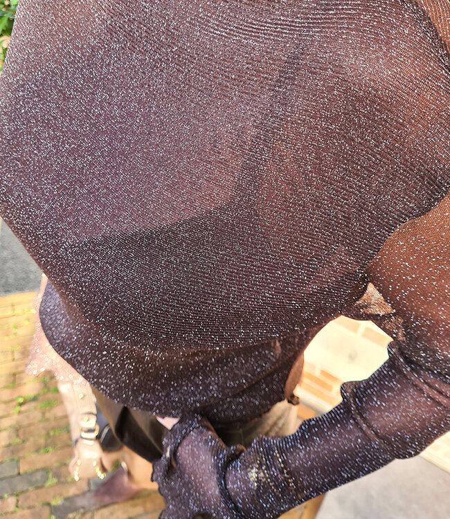 Ambika SHIMMER Mesh Longsleeve Donkerbruin
