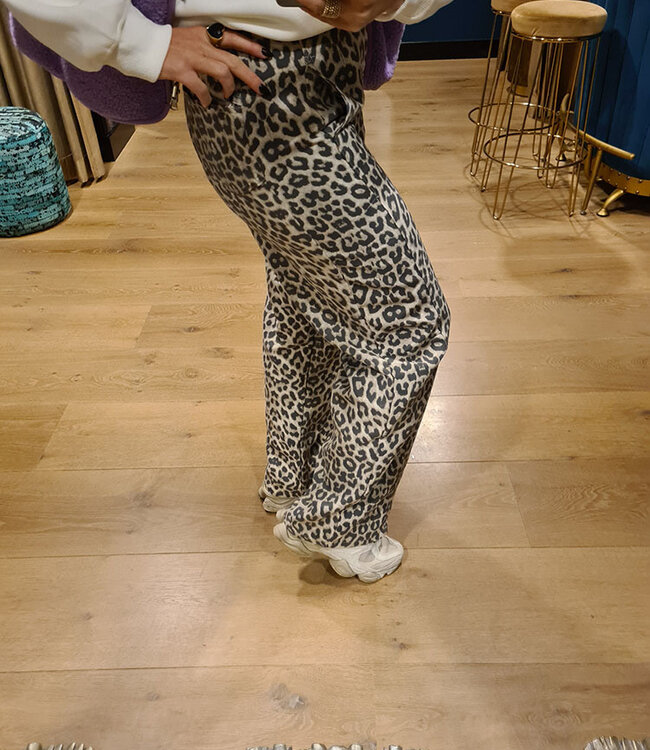 Azzurro Leopard Pants