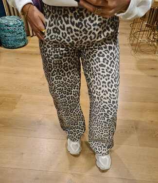 Azzurro Leopard Pants