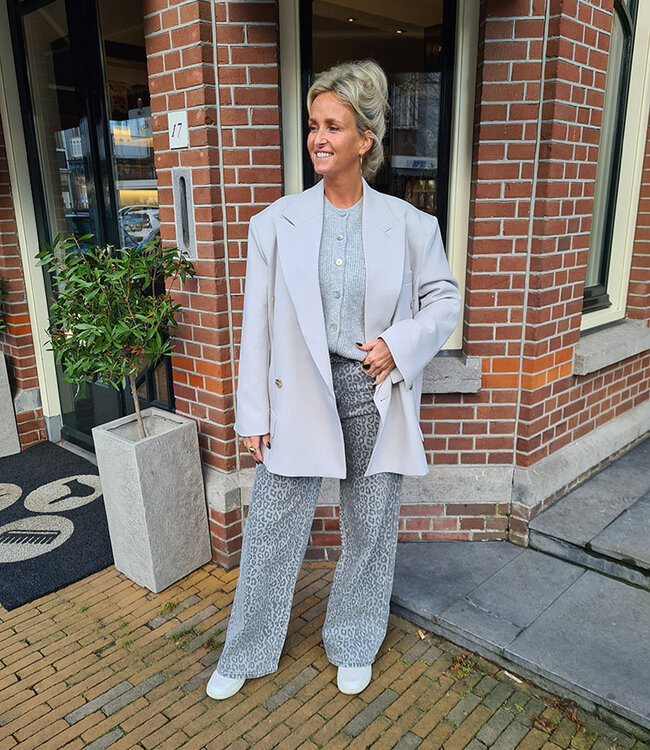 Luxe Oversized Blazer Licht Grijs