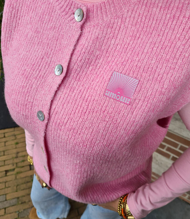 Azzurro Knit Vest/Gilet Roze