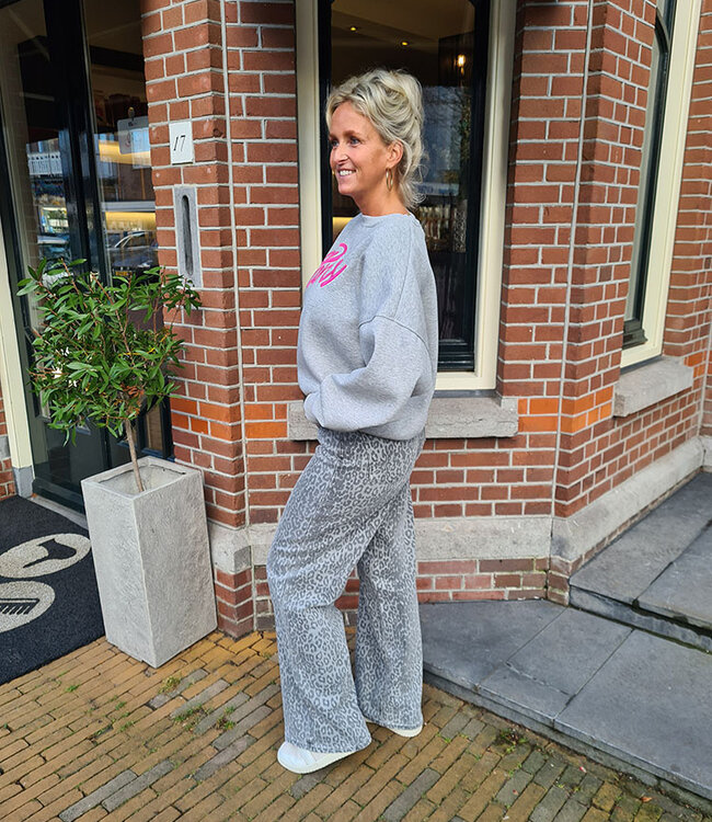 Sweater Azzurro PARIS Grijs