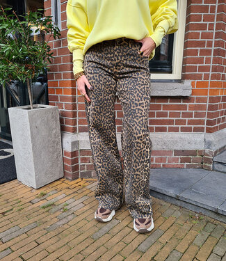 Azzurro Stretch Jeans Leo