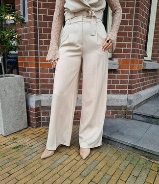 Luxe Pantalon met Subtiele Shimmer Beige