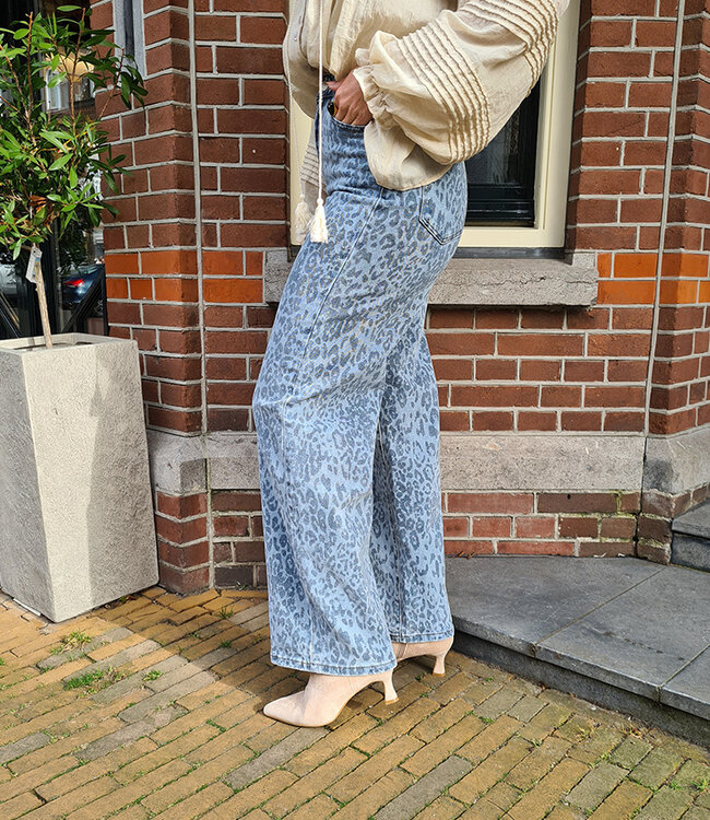 Laulia Blue Leo 3366-1