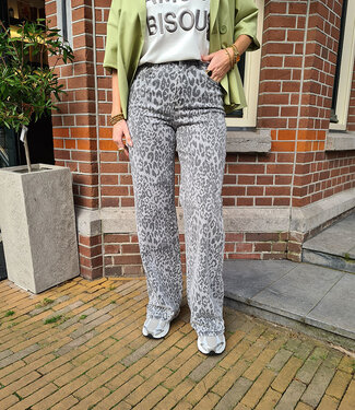 Laulia Grey Leo 3366-2