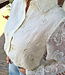Azzurro Luxe Blouse Flower Crème