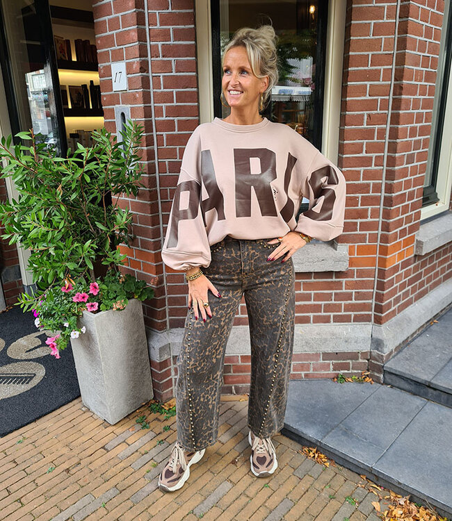 Sweater Paris Taupe