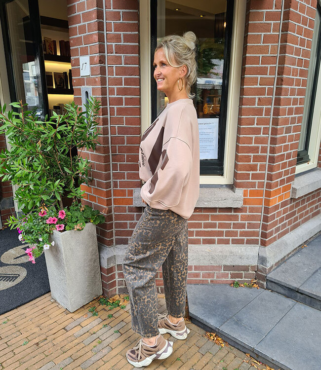 Sweater Paris Taupe