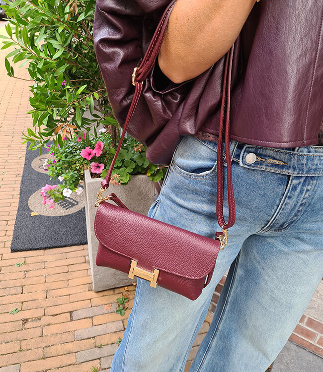 Hilary Little Bag Bordeaux