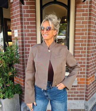 Geruite Luxe Blazer Bruintinten