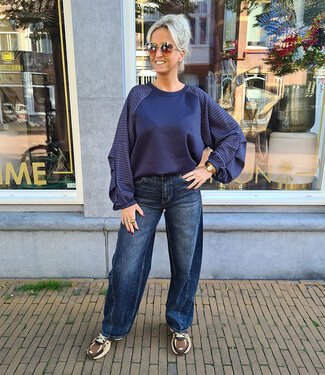 Sweater Ruitenmouwen Blauw