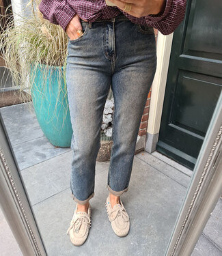 Jewelly Mom Jeans 311-1