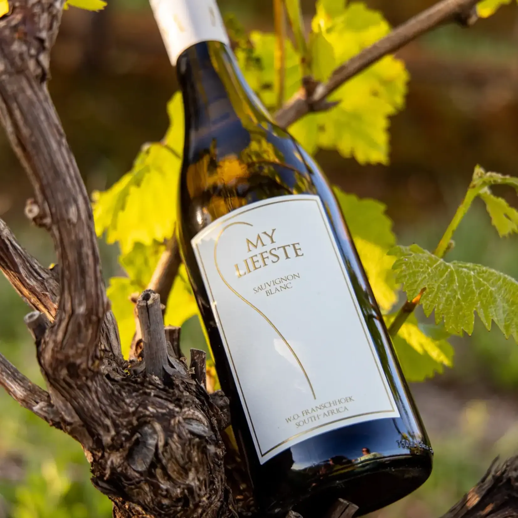 MyLiefste MyLiefste Sauvignon Blanc