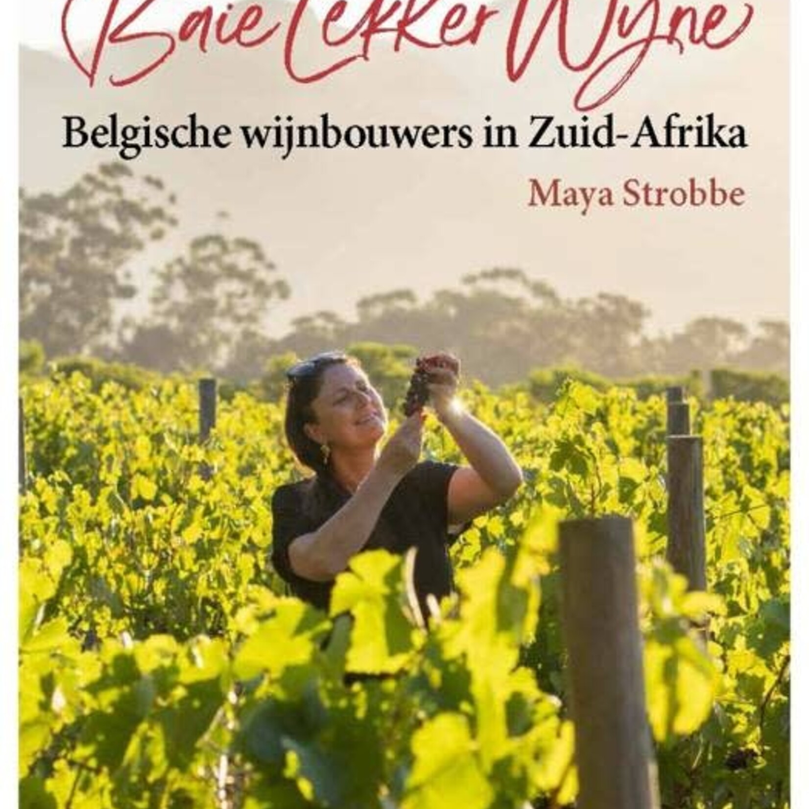 MyLiefste Baie Lekker Wyne Boek