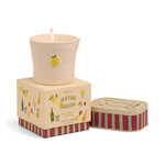 Designworks Geurkaars Meyer Lemon