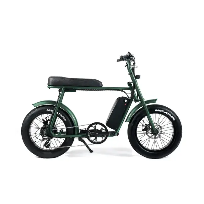 50 Rebels | R-Series Classic | 250 W | Metallic green | 80 km