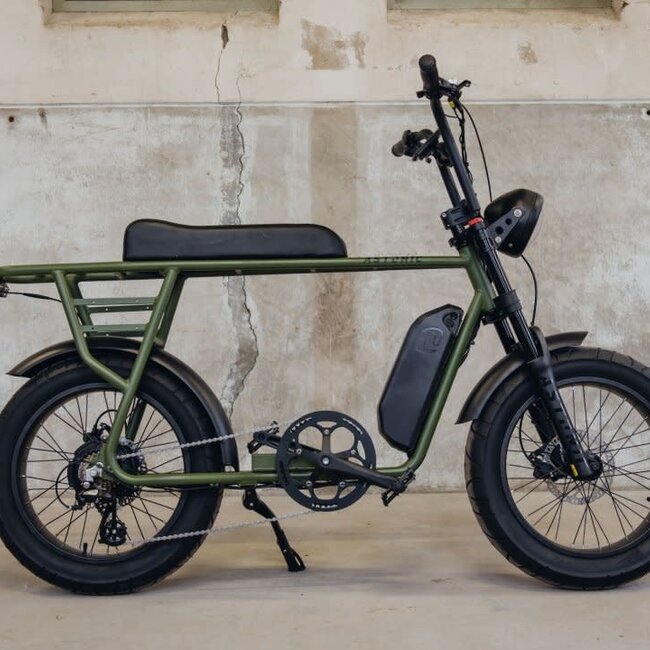 Astonic E-Rides | Earth  Extended | 250 W | Olive green | 100 km