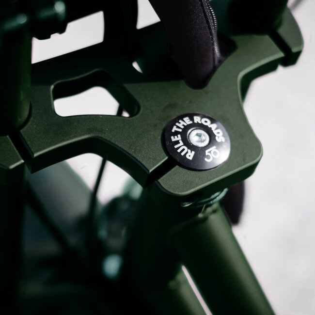 50 Rebels | R-Series Classic | 250 W | Metallic green | 80 km